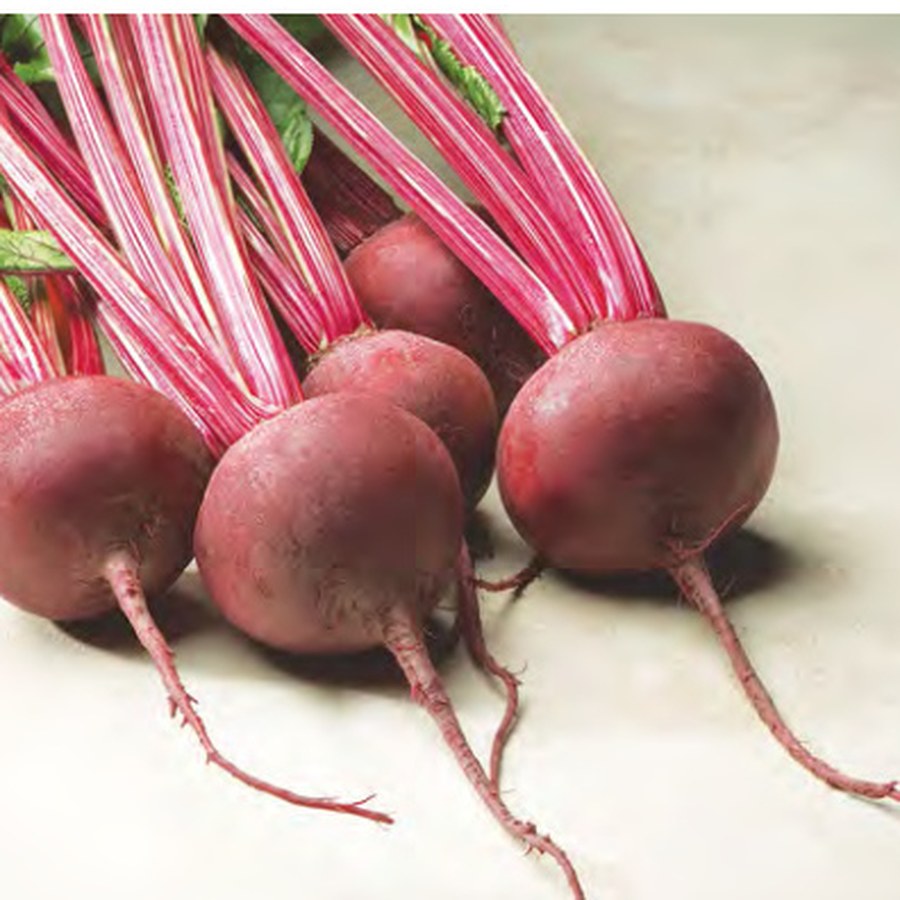 RED ACE Beet