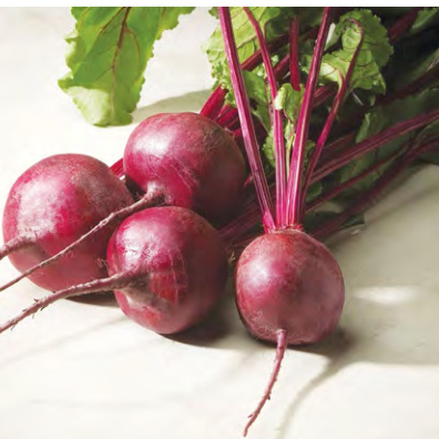 MERLIN Beet Grower Pack