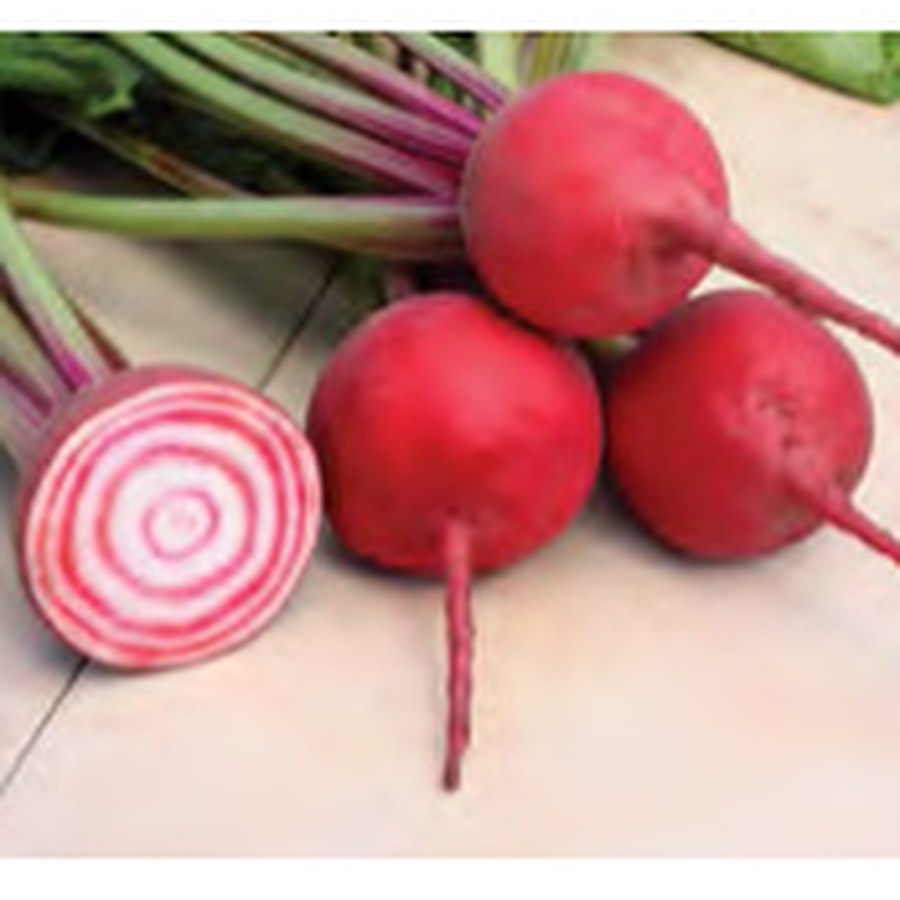 CHIOGGIA GUARDSMARK Beet Grower Pack
