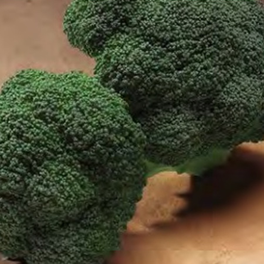 GYPSY Broccoli Grower Pack