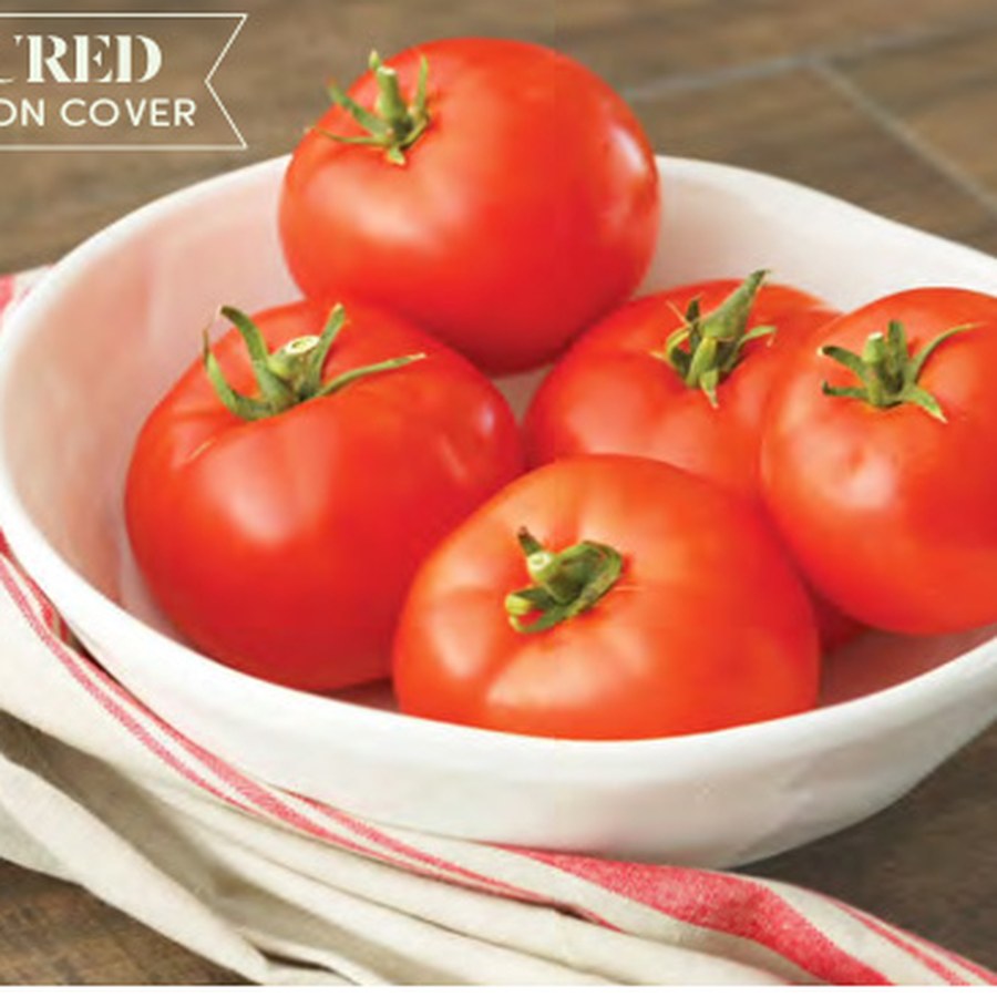 ROADSTER Tomato Grower Pack